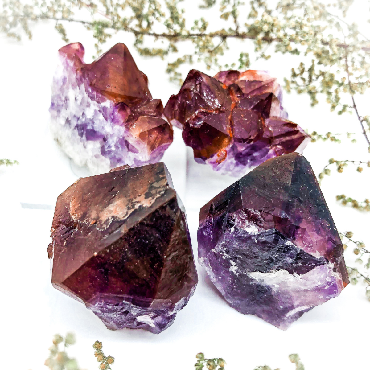Auralite 23 cluster 2025